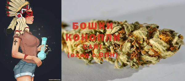 гашик Бронницы